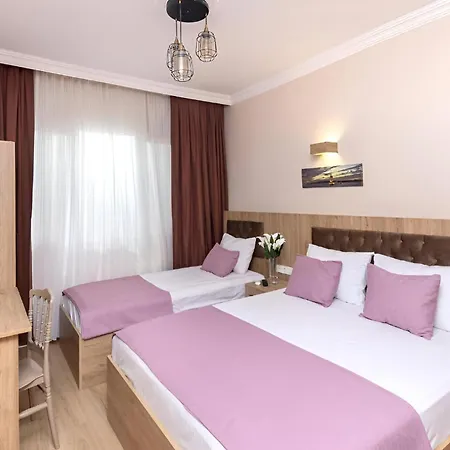 Grey House & Apartment *