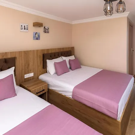 Grey House Apartments - Historical Peninsula 3*