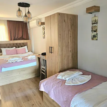 Grey House Apartments - Historical Peninsula