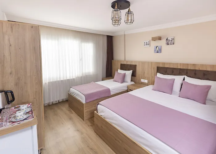 Grey House & * Provincia di Istanbul